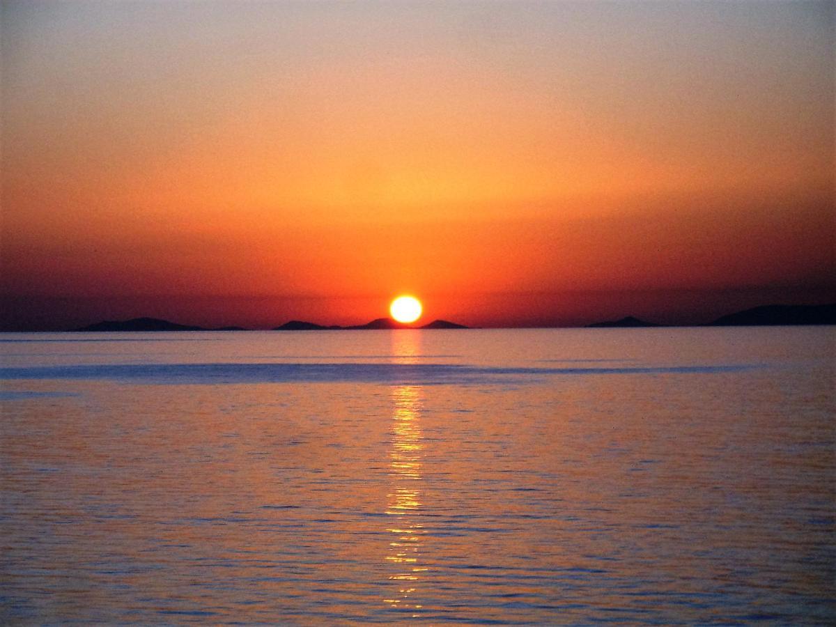Alba Stupendo Appartamento In Villa Fronte Mare - Golfo Dell'Asinara - Internet Free Valledoria  Eksteriør billede