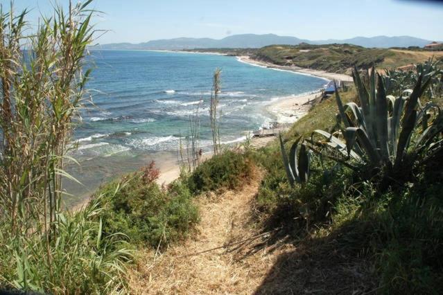 Alba Stupendo Appartamento In Villa Fronte Mare - Golfo Dell'Asinara - Internet Free Valledoria  Eksteriør billede