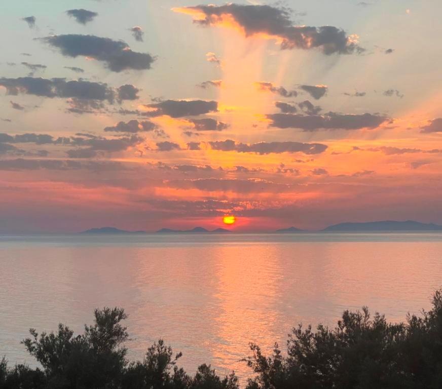 Alba Stupendo Appartamento In Villa Fronte Mare - Golfo Dell'Asinara - Internet Free Valledoria  Eksteriør billede